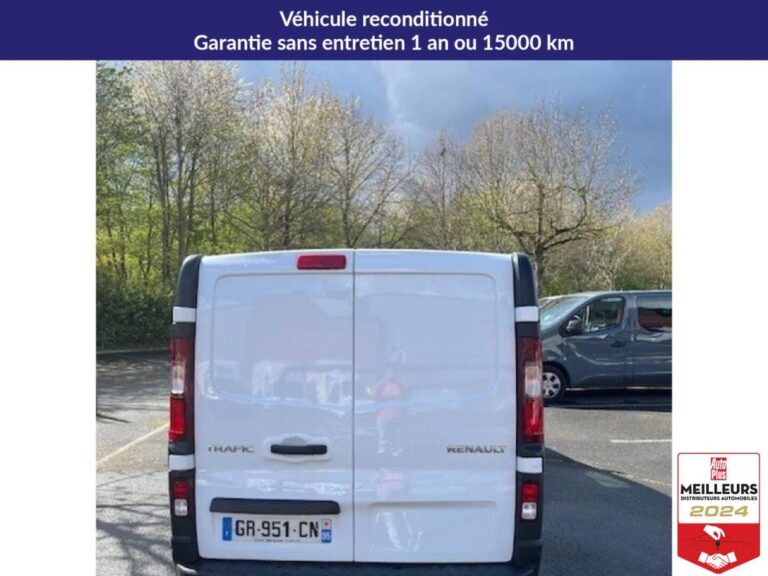 Renault Trafic 3000 Kg 2.0 Blue dCi 110ch Fourgon Gra - Image 06 (June 29, 2026)