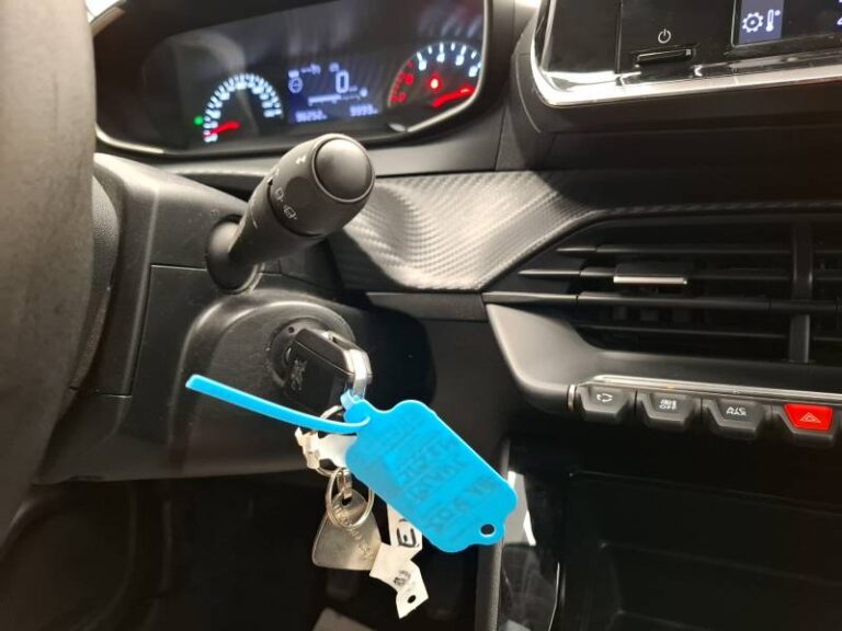 Peugeot 208 affaire BLUEHDI 100 S&S BVM6 PREMIUM - Image 20 (July 7, 2026)