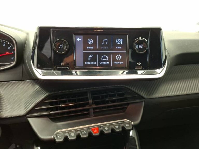 Peugeot 208 affaire BLUEHDI 100 S&S BVM6 PREMIUM - Image 14 (July 7, 2026)