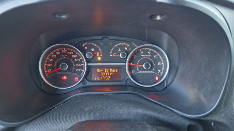 Fiat Doblo Cargo 1.6 MULTIJET 105 PRO LOUNGE - Image 14 (July 7, 2026)