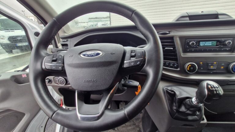 Ford Transit 2.0 Ecoblue 130 Trend Business - Image 15 (July 7, 2026)