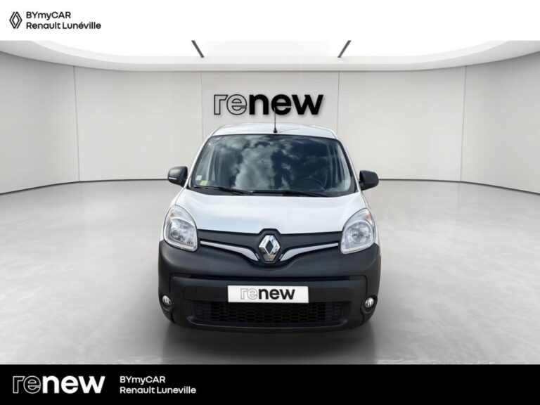 Renault Kangoo Express BLUE DCI 80 EXTRA R-LINK - Image 08 (July 7, 2026)