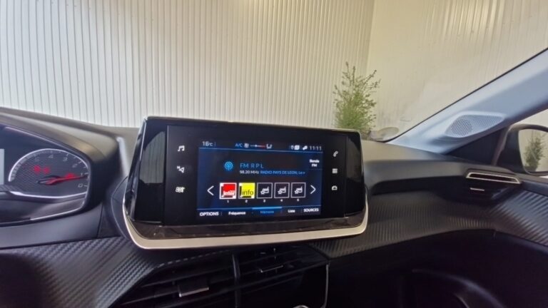Peugeot 208 affaire BlueHDi 100 S&S PREMIUM PACK - Image 11 (July 7, 2026)