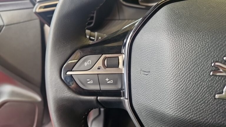 Peugeot 208 affaire BlueHDi 100 S&S PREMIUM PACK - Image 19 (July 7, 2026)