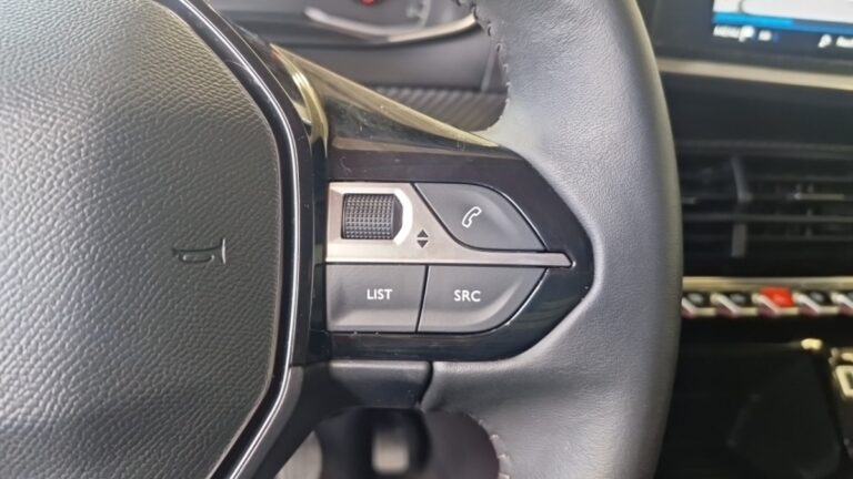 Peugeot 208 affaire BlueHDi 100 S&S PREMIUM PACK - Image 20 (July 7, 2026)
