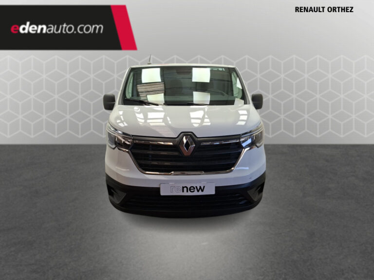 Renault Trafic FGN 3000 KG BLUE DCI 130 CONFORT - Image 08 (July 7, 2026)