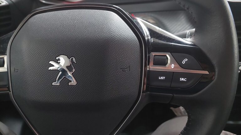 Peugeot 208 affaire 1.5 BlueHDi 100 S&S Premium Pack - Image 20 (July 7, 2026)