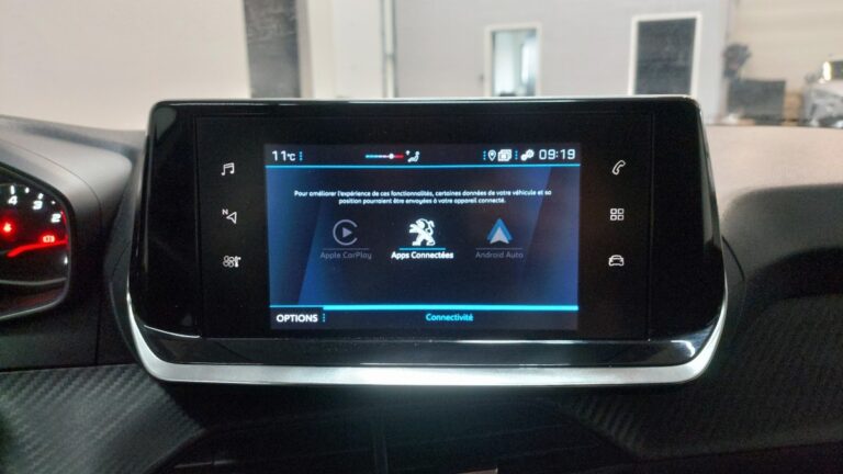 Peugeot 208 affaire 1.5 BlueHDi 100 S&S Premium - Image 13 (July 7, 2026)