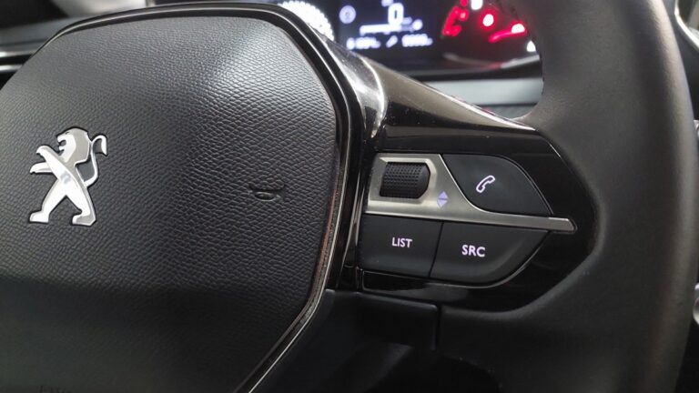 Peugeot 208 affaire 1.5 BlueHDi 100 S&S Premium - Image 16 (July 7, 2026)