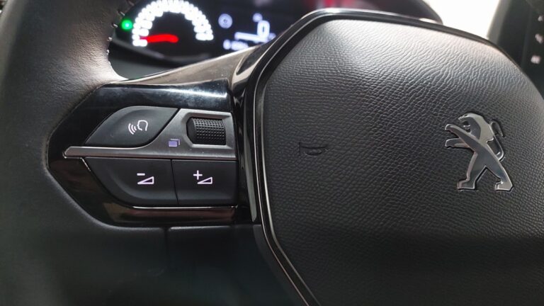 Peugeot 208 affaire 1.5 BlueHDi 100 S&S Premium - Image 17 (July 7, 2026)