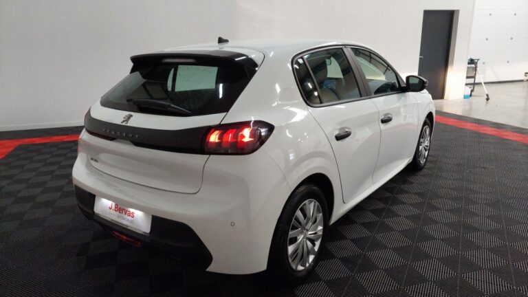 Peugeot 208 affaire 1.5 BlueHDi 100 S&S Premium - Image 04 (July 7, 2026)