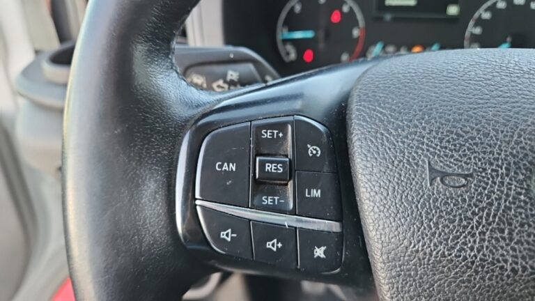 Ford Transit P350 l4 rj hd 2.0 ecoblue 170 trend BENNE + COFFRE - Image 18 (July 7, 2026)