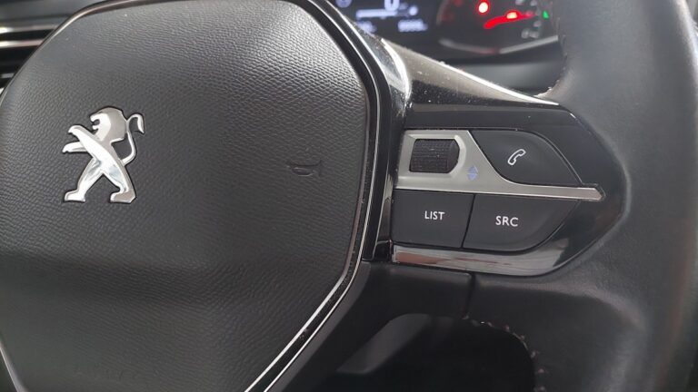 Peugeot 208 affaire 1.5 BlueHDi 100 S&S Premium Pack - Image 17 (July 10, 2026)