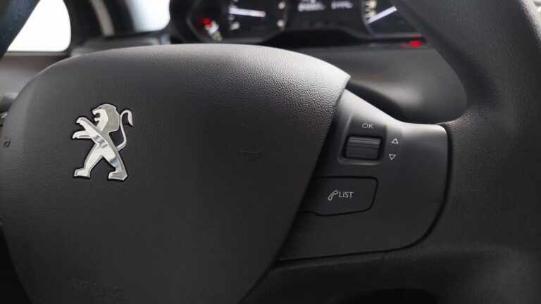 Peugeot 208 affaire BlueHDi 100 S&S PREMIUM - Image 17 (July 10, 2026)