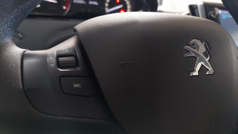 Peugeot 208 affaire BlueHDi 100 S&S PREMIUM - Image 19 (July 10, 2026)