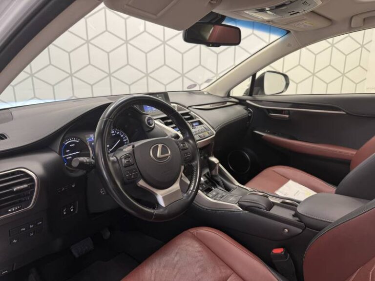 Lexus NX 300h 4WD Executive E-CVT - Image 10 (July 26, 2026)