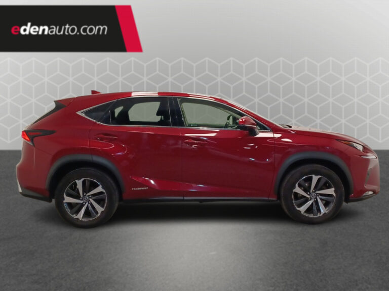 Lexus NX 300h 4WD Executive - Image 06 (July 26, 2026)