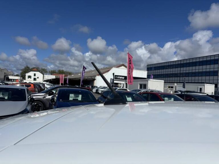 Renault Clio SOCIETE BLUE DCI 100 EVOLUTION REVERSIBLE - Image 13 (July 6, 2026)