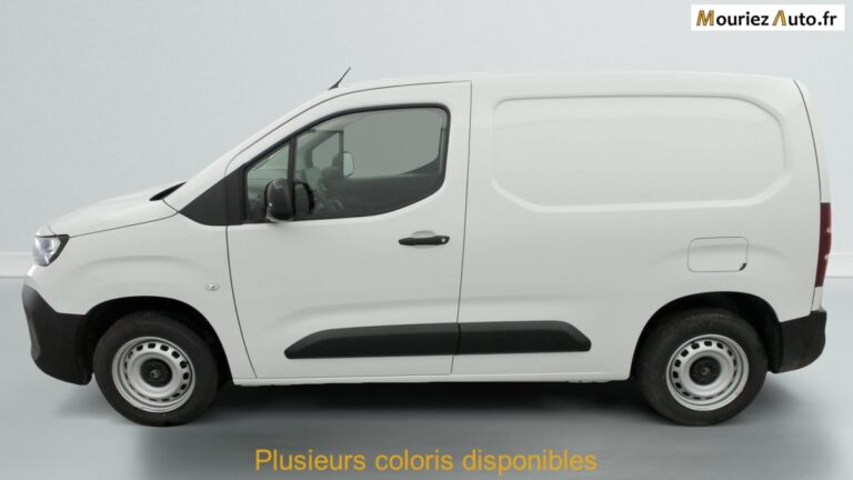 Citroën Berlingo VAN M DIESEL 100 CH MANUELLE - Image 04 (July 7, 2026)