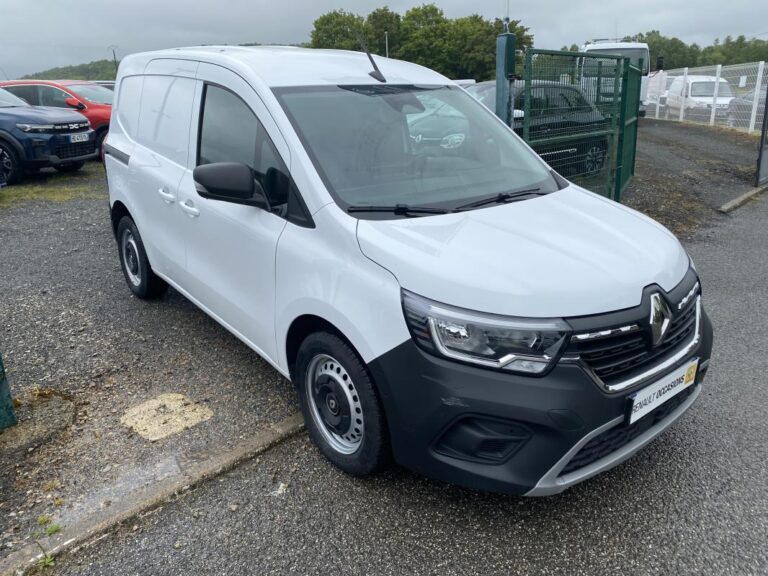 Renault Kangoo 3 VAN EXTRA BLUE DCI 95 - Image 06 (July 7, 2026)
