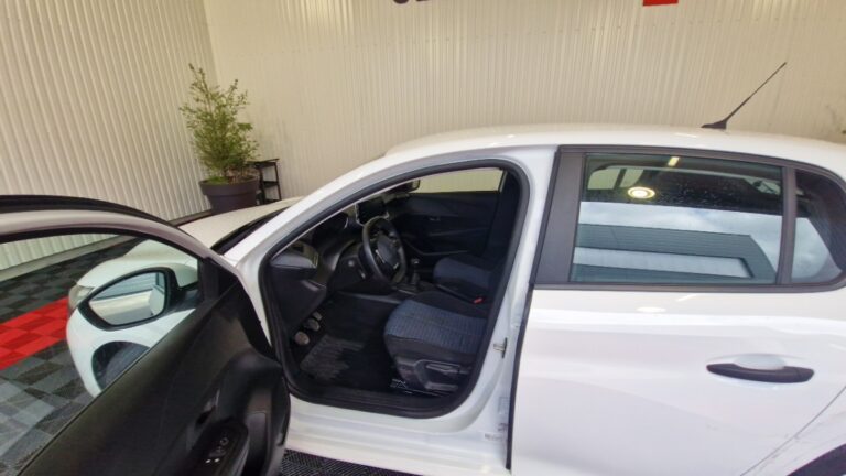 Peugeot 208 affaire BlueHDi 100 S&S PREMIUM PACK - Image 10 (July 7, 2026)