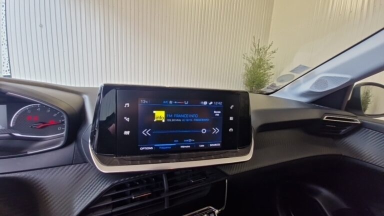 Peugeot 208 affaire BLUEHDI 100 SS PREMIUM PACK - Image 11 (July 7, 2026)