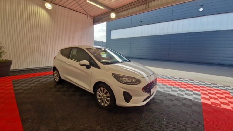 Ford Fiesta AFFAIRES 1.0 ECOBOOST FLEXIFUEL E85 TREND 95cv - Image 03 (July 7, 2026)