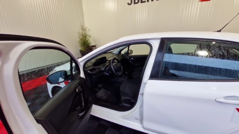 Peugeot 208 affaire BLUEHDI 100 SS PREMIUM - Image 10 (July 7, 2026)