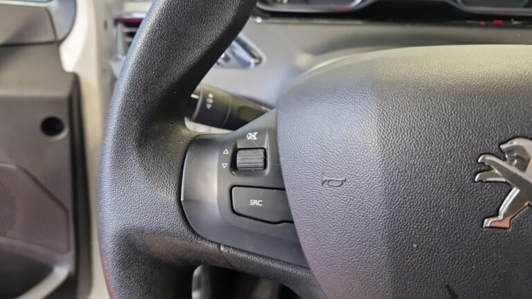 Peugeot 208 affaire BLUEHDI 100 SS PREMIUM - Image 18 (July 7, 2026)