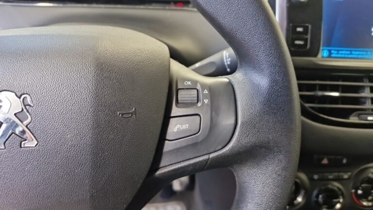 Peugeot 208 affaire BLUEHDI 100 SS PREMIUM - Image 19 (July 7, 2026)
