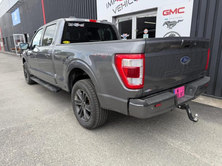 Ford F 150 LARIAT V8 5,0L FLEX FUEL - Image 04 (July 7, 2026)