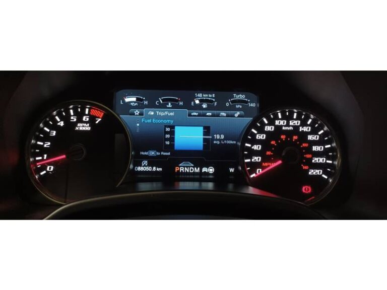 Ford Raptor SUPERCREW V6 3.5L ECOBOOST BIOETHANOL F150 - Image 19 (July 7, 2026)
