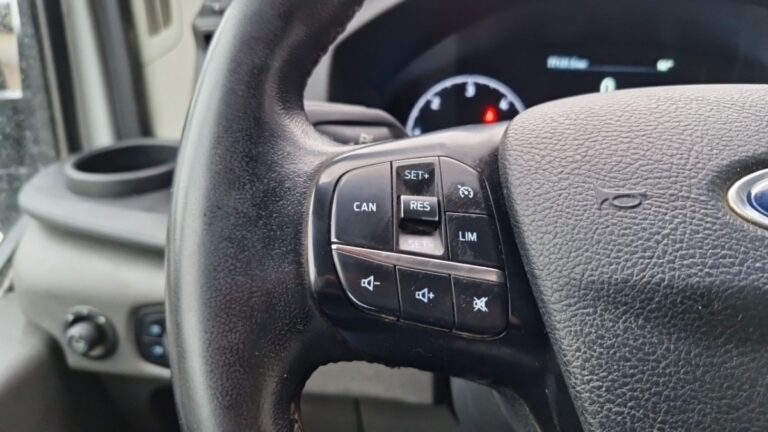 Ford Transit P350 l4 rj hd 2.0 ecoblue 170 trend BENNE + COFFRE - Image 19 (July 7, 2026)