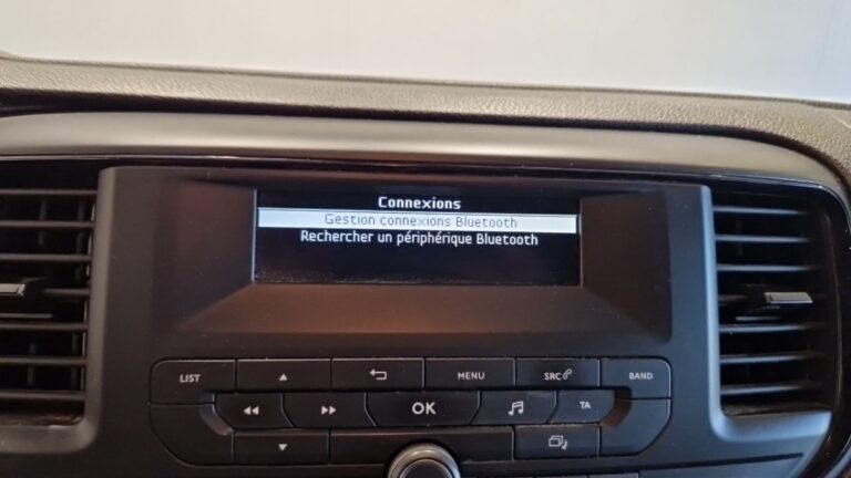 Peugeot Expert tole standard bluehdi 100 ss bvm6 premium - Image 16 (August 28, 2026)