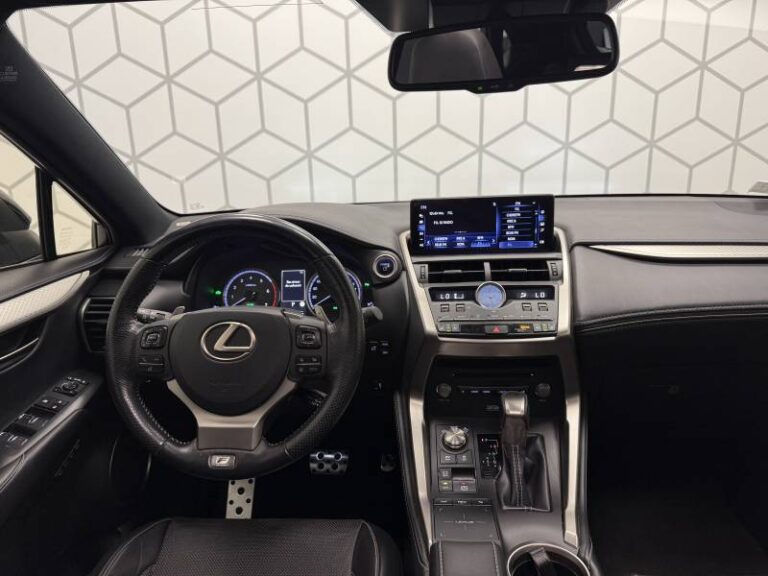 Lexus NX 300h 4WD F SPORT Executive - Image 11 (September 4, 2026)