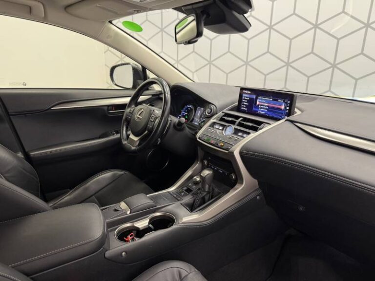 Lexus NX 300h 4WD Luxe - Image 12 (September 4, 2026)