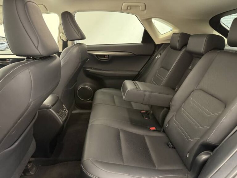 Lexus NX 300h 4WD Luxe - Image 13 (September 4, 2026)