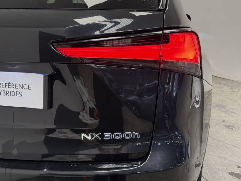 Lexus NX 300h 4WD Luxe - Image 14 (September 4, 2026)