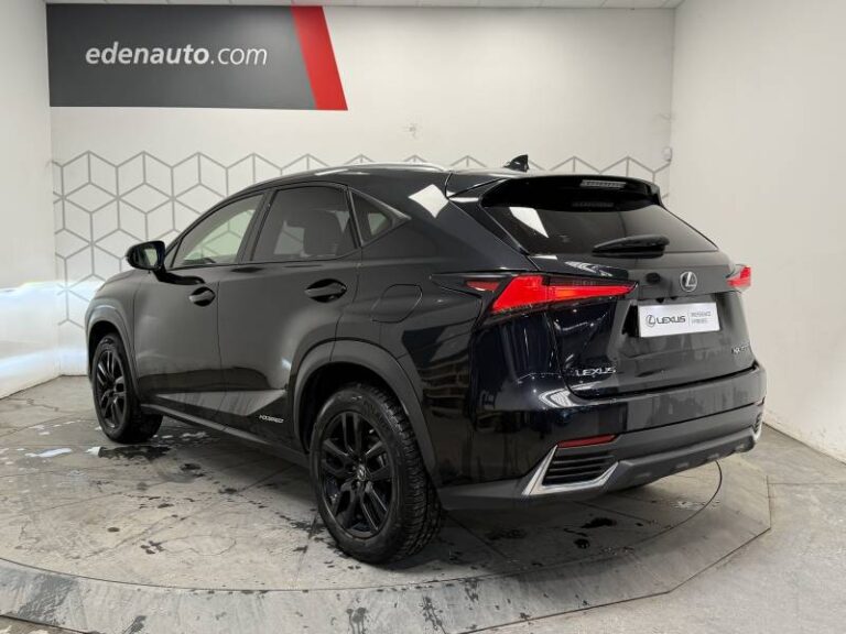 Lexus NX 300h 4WD Luxe - Image 03 (September 4, 2026)