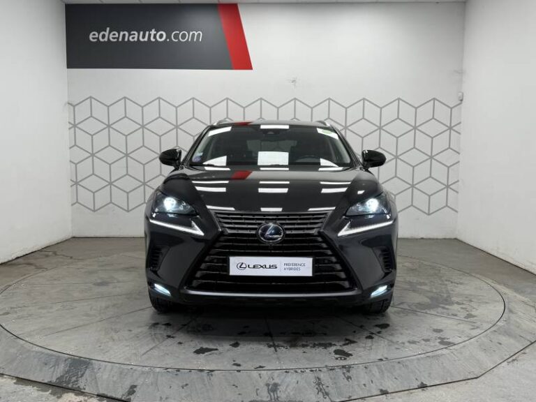 Lexus NX 300h 4WD Luxe - Image 08 (September 4, 2026)