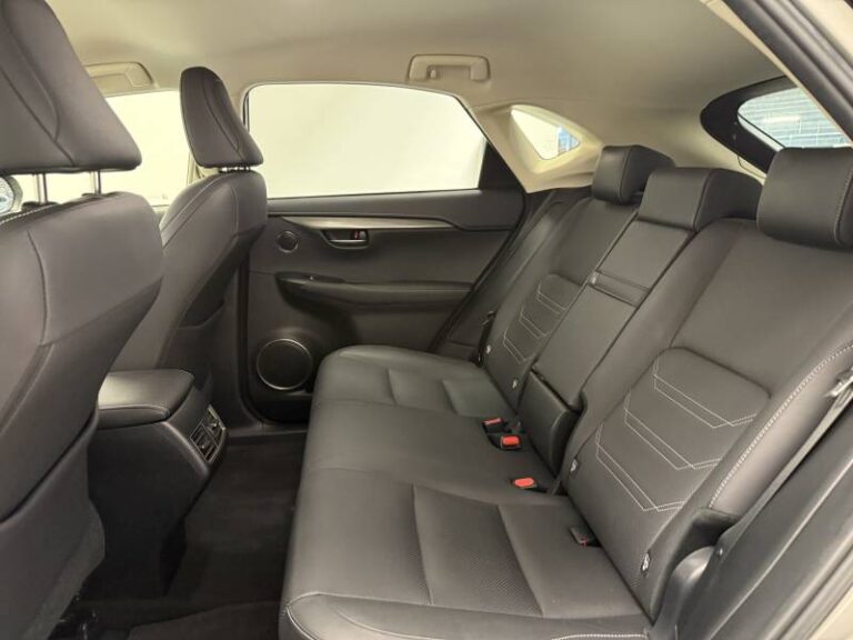 Lexus NX 300h 4WD Luxe - Image 13 (September 4, 2026)