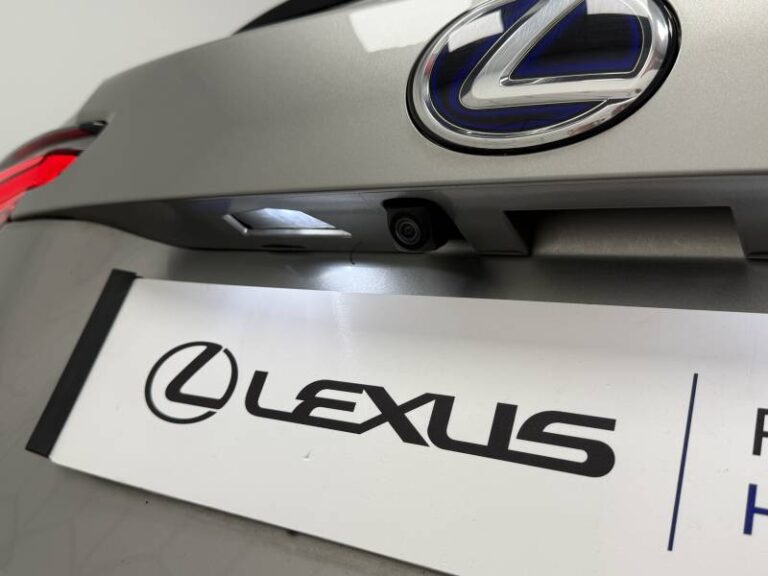 Lexus NX 300h 4WD Luxe - Image 17 (September 4, 2026)